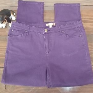 Ellen Tracy purple Jean's size 14